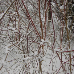 Casting Spells -by Orion-12-13-10