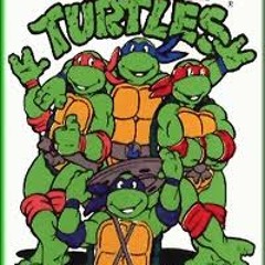 Teenage Mutant Ninja Turtles Theme