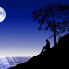 The Loneliness (beat by Warren O Wilson)