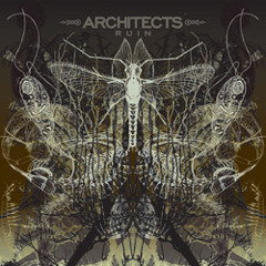 ARCHITECTS - Always