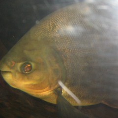 The First Touch - PolyOne