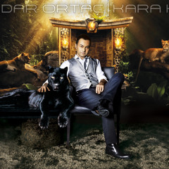 Serdar Ortac - Gülün Rengi ('10)