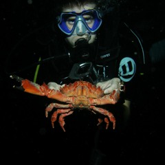 DirtyElectroLovers vs. PRODIGY.