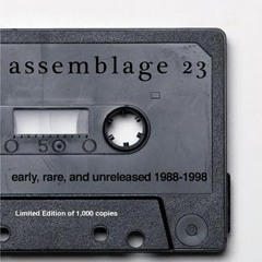 Assemblage 23 sometimes I wish I was dead