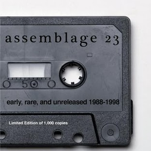 Assemblage 23 sometimes I wish I was dead