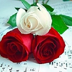 I still Love you (sample clip)