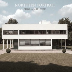 Northern Portrait - The Operation Worked But The Patient Died