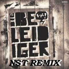 Die Beleidiger - beatsundreime ( DJ NST REMIX )