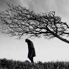 lonely wind