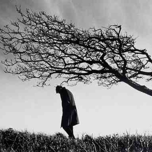 lonely wind