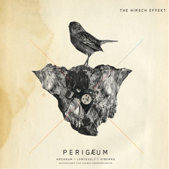 The Hirsch Effekt Split APOGÆUM / PERIGÆUM