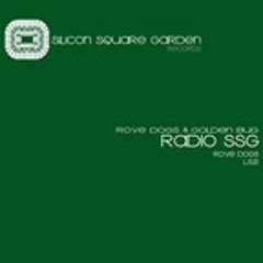Rove Dogs-Radio SSG (Rove Dogs mix)