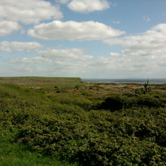 Jimmy penguin [it depends what your into]