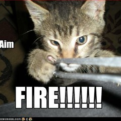 Tek-Fox - Live in Chicago (November 2010)