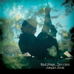 Torrini's Jungle Drum's - Arjuna Schiks remix (Free Download)