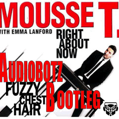 Mousse T - Right About Now (Audiobotz Fuzzy Chest Hair Bootleg) FREE DOWNLOAD