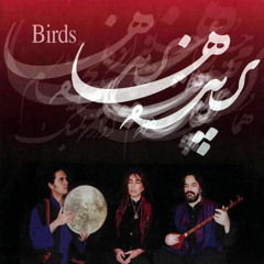هما نیکنام، حسین علیزاده...پرنده ها