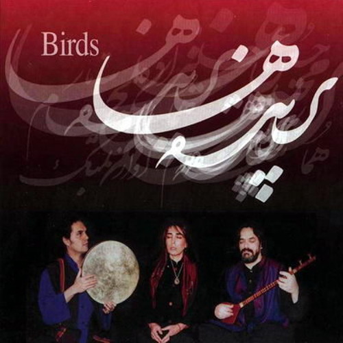 هما نیکنام، حسین علیزاده...پرنده ها