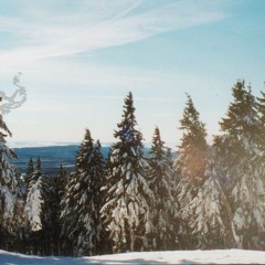 Sometimes He Disappears