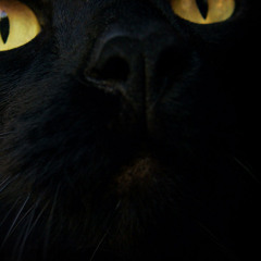 Bla©at - @Dance Naked Under Palmtrees