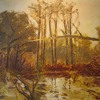 Windfall
