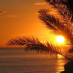 Deep Active Sound Feat. Cotry - Sunrise (Moskitos Edit)