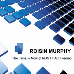 ROISIN MURPHY - The Time is Now ( FROST FACT remix )