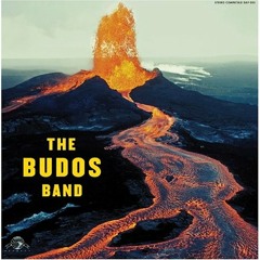 Up from the South - The Budos Band