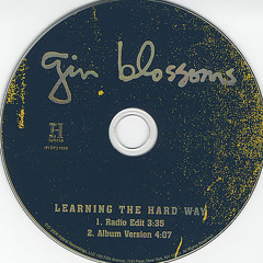 Learning The Hard Way - Gin Blossoms