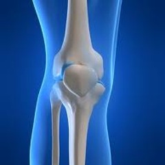 Xmas Star (Allard & Michel)