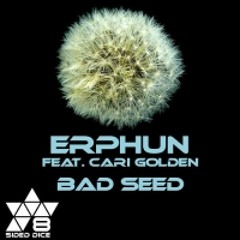 Erphun feat. Cari Golden - Bad Seed (Original Mix)