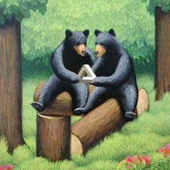 Mindbus & öbo / el cerebro de nimbö