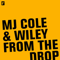 MJ Cole and Wiley - From the drop