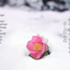 Flower beyond snows - 雪間に咲く花