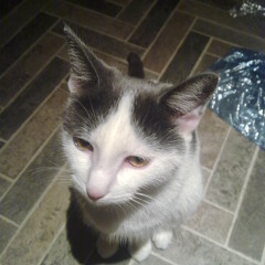 Little Dragon - Twice (Flyte One Remix)