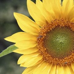 ++LIFEPRINTS++ by Moome feat. MBosniak