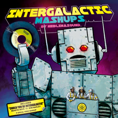 01. Could You Be Intergalactic - Beastie Boys Vs Bob Marley ( + video + download link )