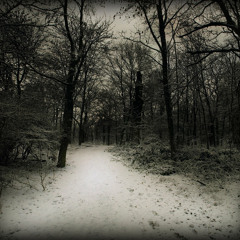 Painted Winter easy mix