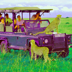 Destination Excellence (Instr Mix)