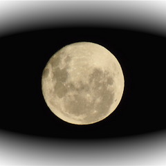 Space bound rocket ship