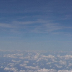 Zeta Primes - grape sugar