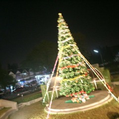 Chrismas Night