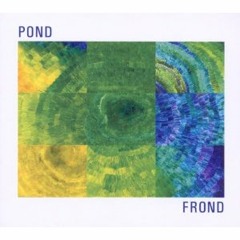 Frond by Pond