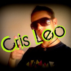 Provenzano Dj Show - Steve Angello vs Fedde Le Grand - Rave'n'Forth (Cris Leo Mash Up)