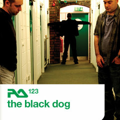 Resident Advisor Podcast 123 - The Black Dog - 2008.10.06