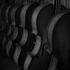 Violas At Night - Keyzee !!!! singed !!!!