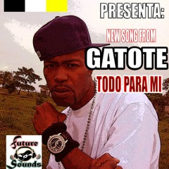 GATOTE ( MUEVELO TODO )