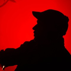 stefan waldschmidt - the testament of redlightdistrict