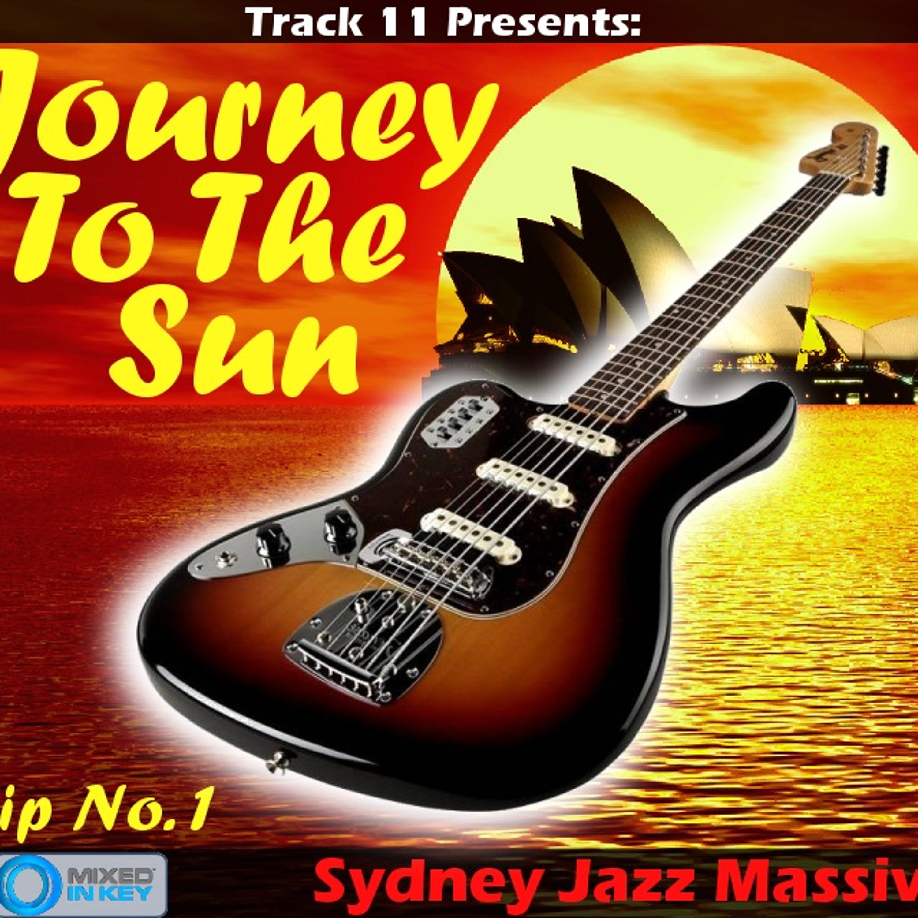 Mixed By Track Eleven (DJ Mixes)