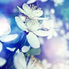Anh ấy nhất định rất yêu em